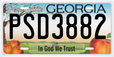 GA license plate PSD3882