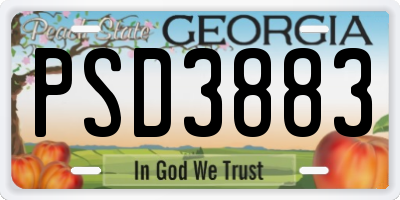 GA license plate PSD3883