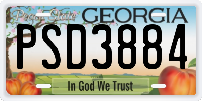 GA license plate PSD3884