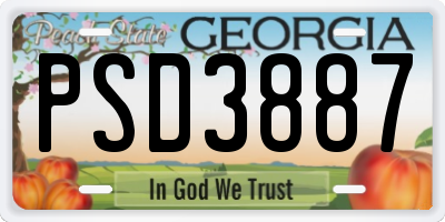 GA license plate PSD3887