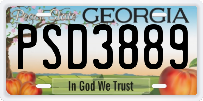 GA license plate PSD3889