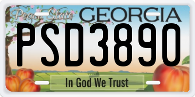 GA license plate PSD3890