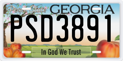 GA license plate PSD3891