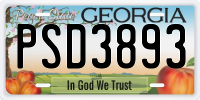 GA license plate PSD3893