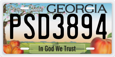 GA license plate PSD3894