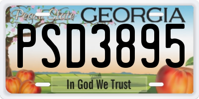 GA license plate PSD3895