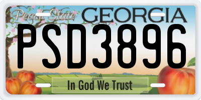 GA license plate PSD3896
