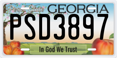 GA license plate PSD3897