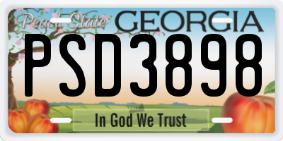 GA license plate PSD3898