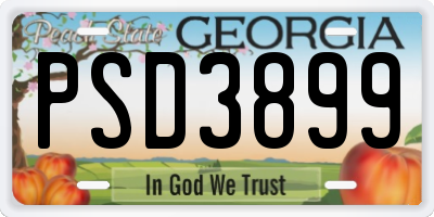 GA license plate PSD3899