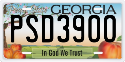 GA license plate PSD3900