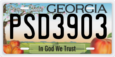 GA license plate PSD3903