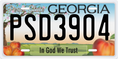 GA license plate PSD3904