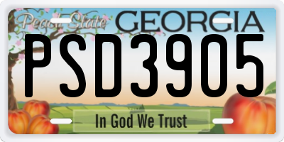 GA license plate PSD3905
