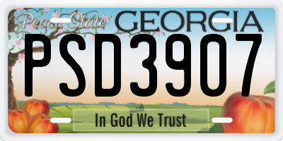 GA license plate PSD3907