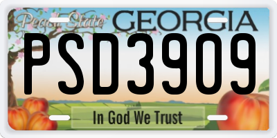 GA license plate PSD3909