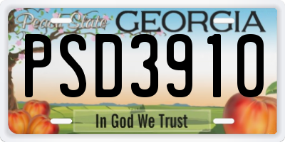 GA license plate PSD3910