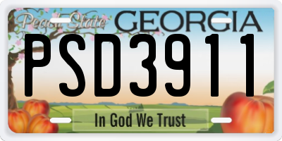 GA license plate PSD3911