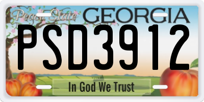 GA license plate PSD3912