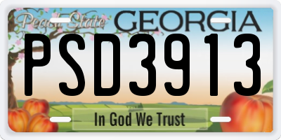 GA license plate PSD3913