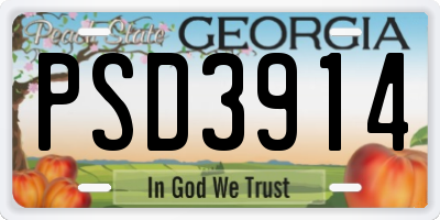 GA license plate PSD3914
