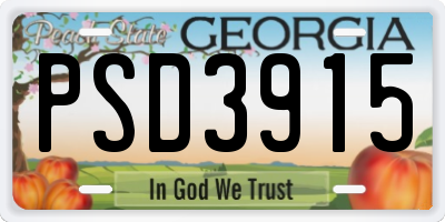 GA license plate PSD3915
