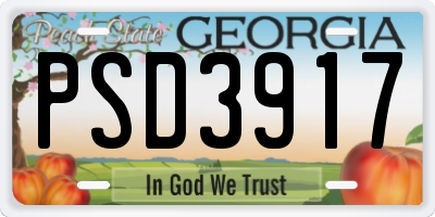GA license plate PSD3917