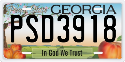 GA license plate PSD3918