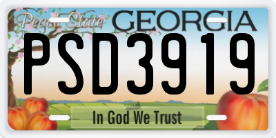 GA license plate PSD3919