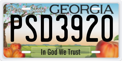 GA license plate PSD3920