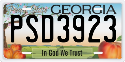 GA license plate PSD3923