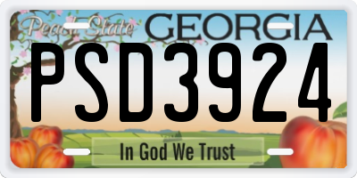 GA license plate PSD3924