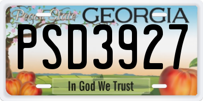 GA license plate PSD3927