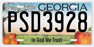 GA license plate PSD3928
