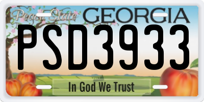 GA license plate PSD3933