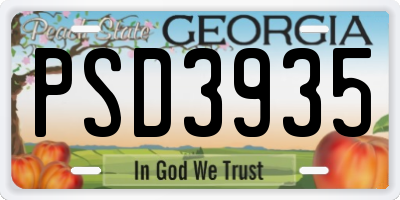 GA license plate PSD3935