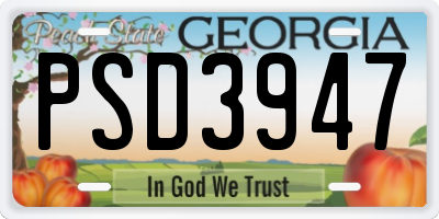 GA license plate PSD3947
