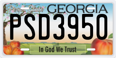 GA license plate PSD3950