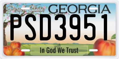 GA license plate PSD3951