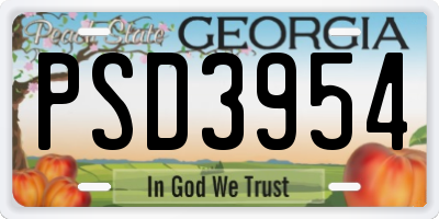 GA license plate PSD3954