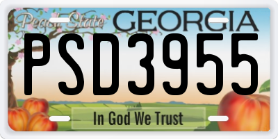 GA license plate PSD3955