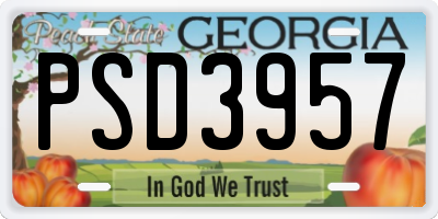 GA license plate PSD3957