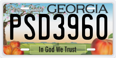 GA license plate PSD3960