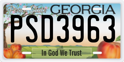 GA license plate PSD3963