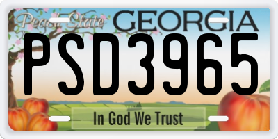 GA license plate PSD3965