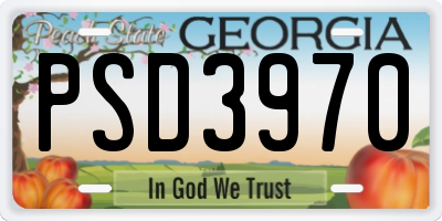 GA license plate PSD3970