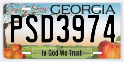 GA license plate PSD3974