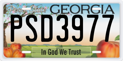 GA license plate PSD3977