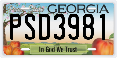 GA license plate PSD3981