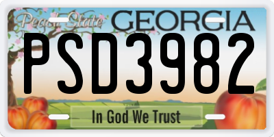 GA license plate PSD3982